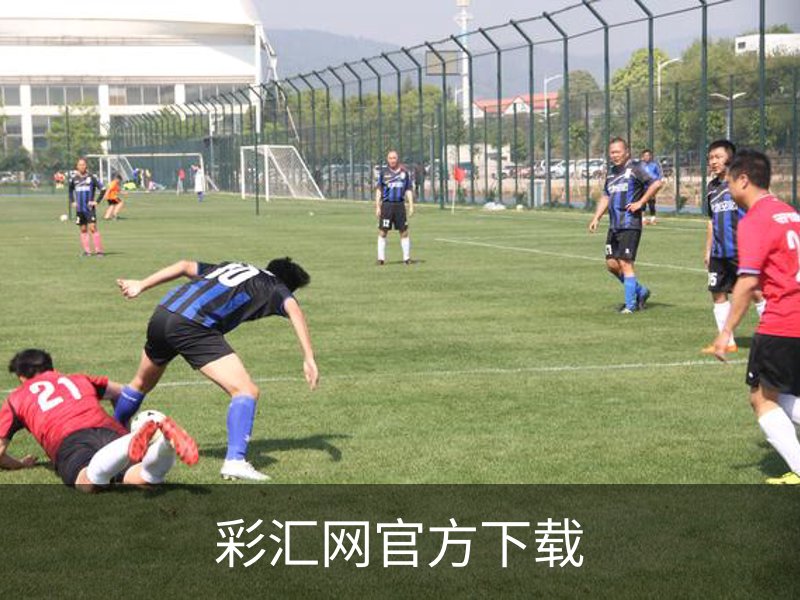 关于彩汇网官方下载